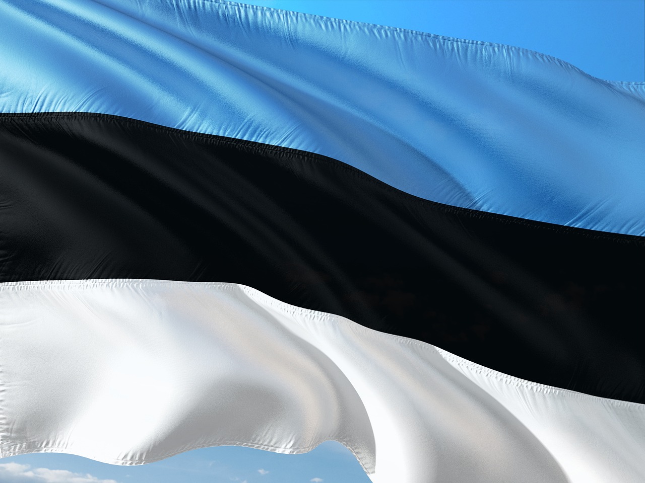 The Estonian Management Culture